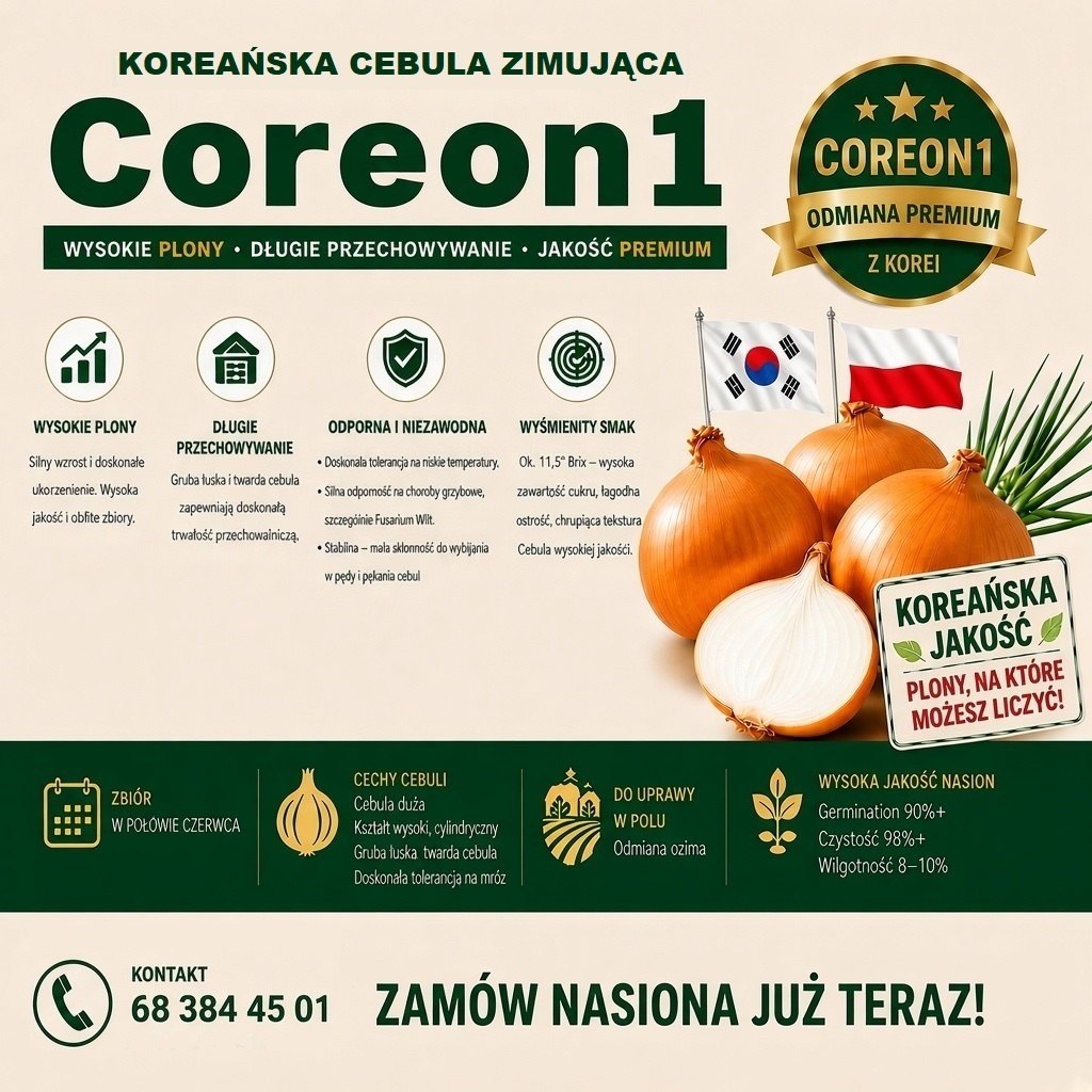 Ulotka Coreon 1 — koreańska cebula zimująca, kontakt: 68 384 45 01